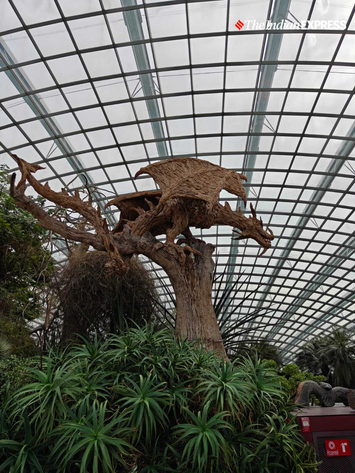 (Image: Bijin Jose/The Indian Express)