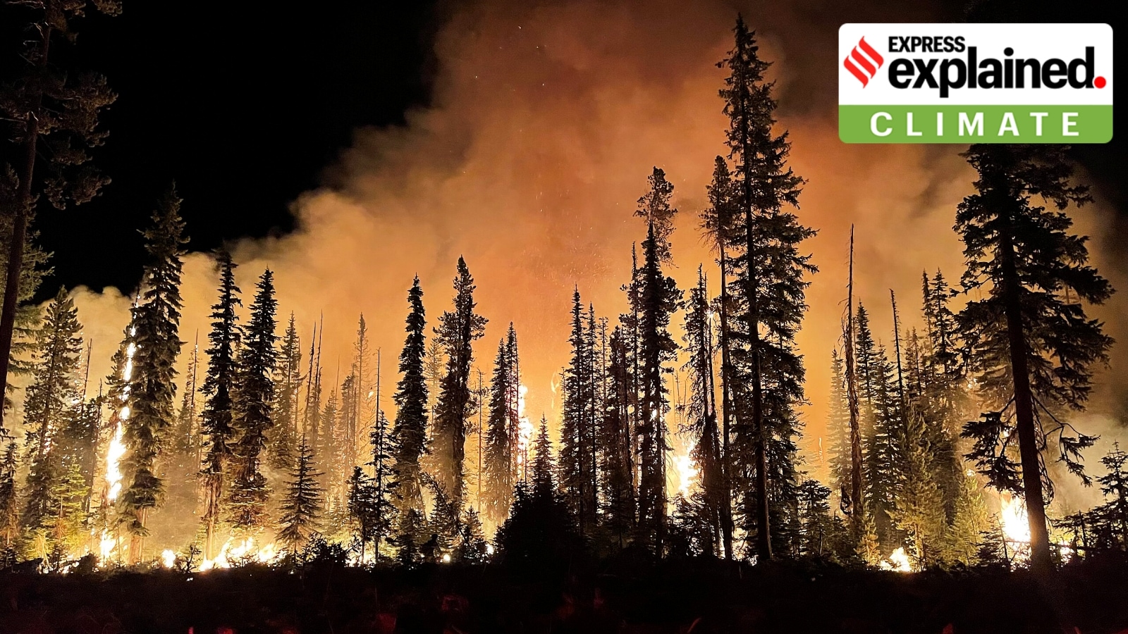 ‘Climate change is driven by human need and human greed’: Yale historian Sunil Amrith on his book and all things climate change