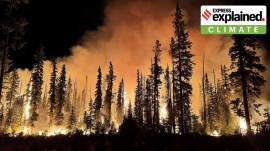 Wildfire at Lick Creek, Umatilla National Forest, Oregon, United States, 2021. (Wikimedia Commons)