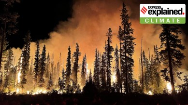 Wildfire at Lick Creek, Umatilla National Forest, Oregon, United States, 2021. (Wikimedia Commons)