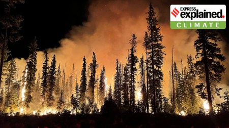 Wildfire at Lick Creek, Umatilla National Forest, Oregon, United States, 2021. (Wikimedia Commons)