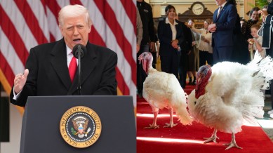 Donald Trump mocks Joe Biden, Chuck Schumer and Nancy Pelosi as he pardons Thanksgiving turkeys