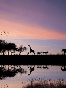 8 best destinations to visit in Africa