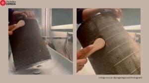 Delhi woman cleans air purifier