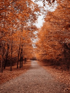 Top 8 autumn destinations around the world