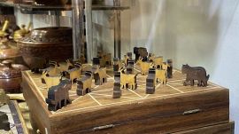 bagh chal, board game, pune