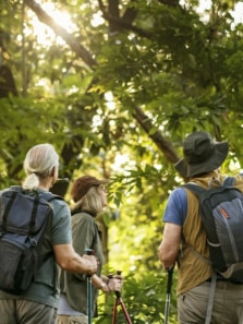 Places to visit if you are an ardent birdwatcher