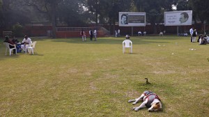 NDA landslide victory, NDA victory, Narendra Modi, Bihar voters, Bihar voting results, bihar election results, bihar elections, Bihar Assembly polls, Bihar Assembly elections, Gujarat BJP, Tejashwi Prasad Yadav, Chirag Paswan, Indian express news, current affairs