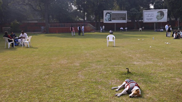 NDA landslide victory, NDA victory, Narendra Modi, Bihar voters, Bihar voting results, bihar election results, bihar elections, Bihar Assembly polls, Bihar Assembly elections, Gujarat BJP, Tejashwi Prasad Yadav, Chirag Paswan, Indian express news, current affairs
