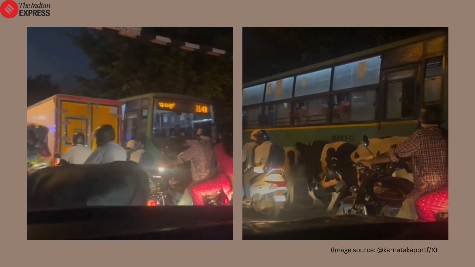‘Bengaluru traffic doesn’t discriminate’: Viral video shows cows stuck in jam, the Internet calls it ‘peak Bengaluru’
