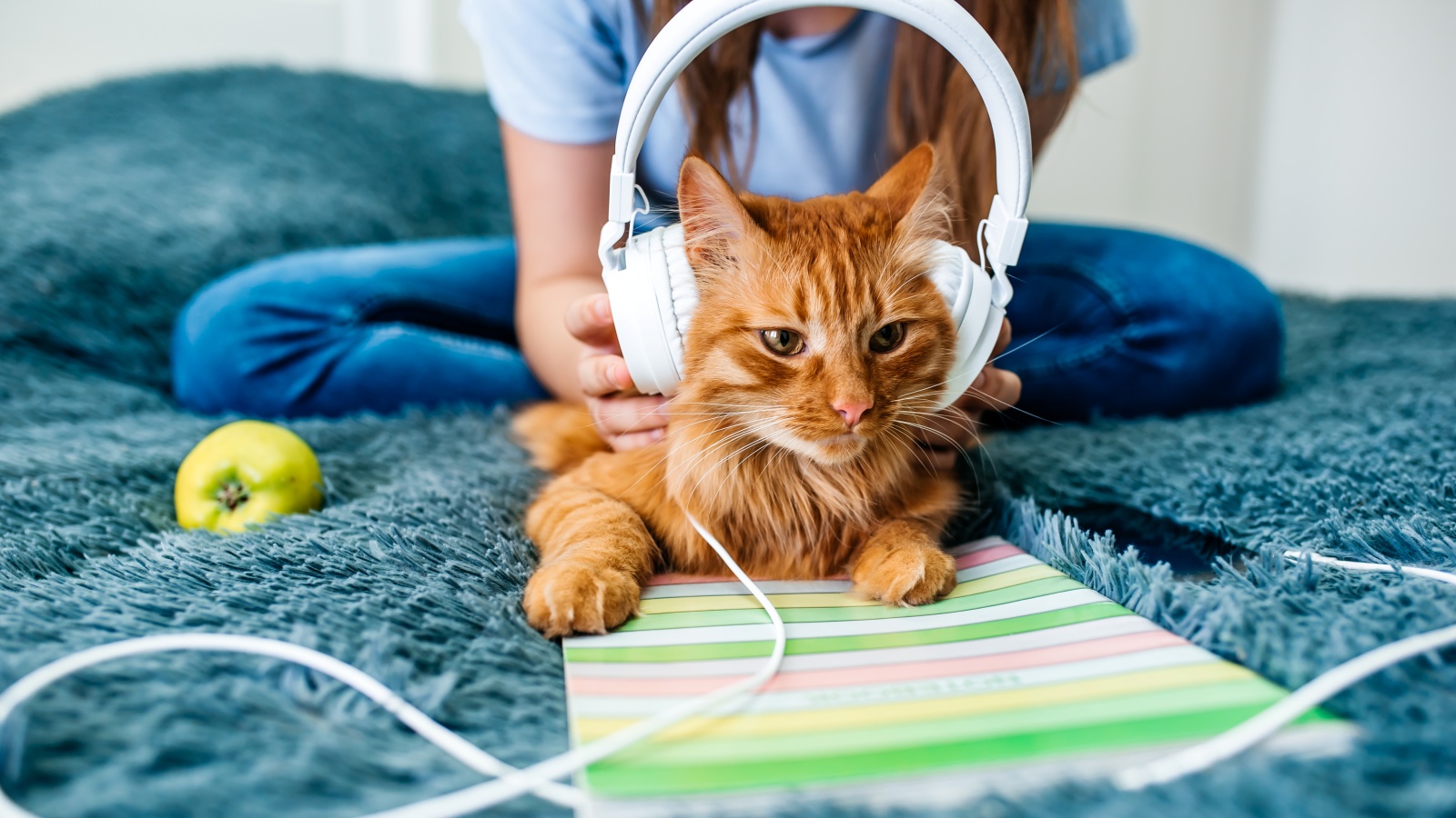 Music Calms Pets and Animals Too