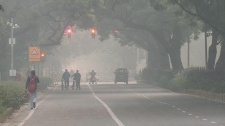 Delhi News LIVE Updates: View of Lodhi Road cover with smog as the air quality index (AQI) level remains in the 'Very poor' category, in New Delhi on Friday.