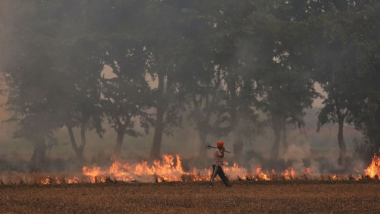 Transport, farm fires keep air ‘very poor’ in Delhi, no improvement likely soon