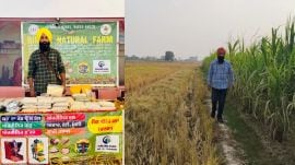 Sukhjit Singh with his products and in his fields. (Express Photo)