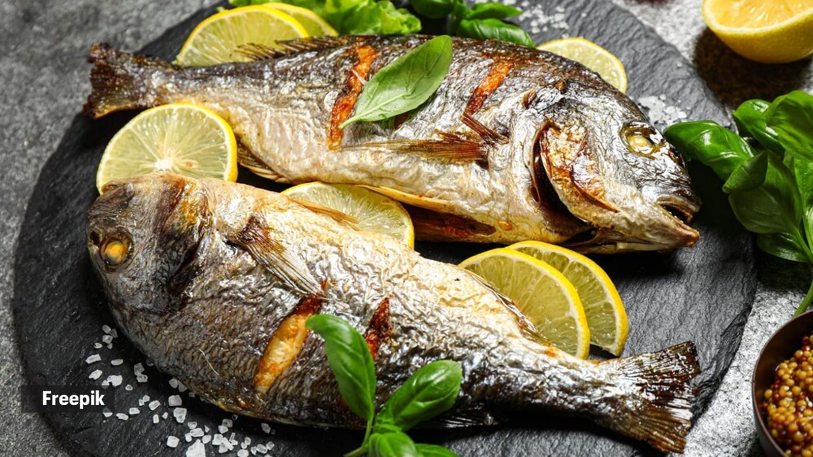 protein options for muscle