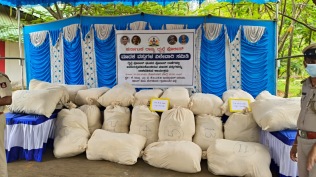 A search of their two bags revealed the presence of 21.16 kg of ganja. (Express Photo)