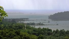 It rejected two other applications seeking that the key report be shared since a copy was not served to the petitioner and submitted to NGT in a sealed cover.