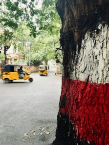 Top 8 gullies to visit in India