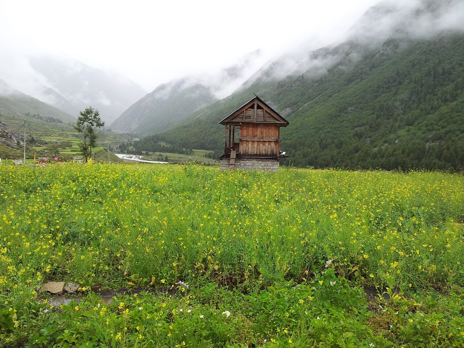 A hut in Chitkul