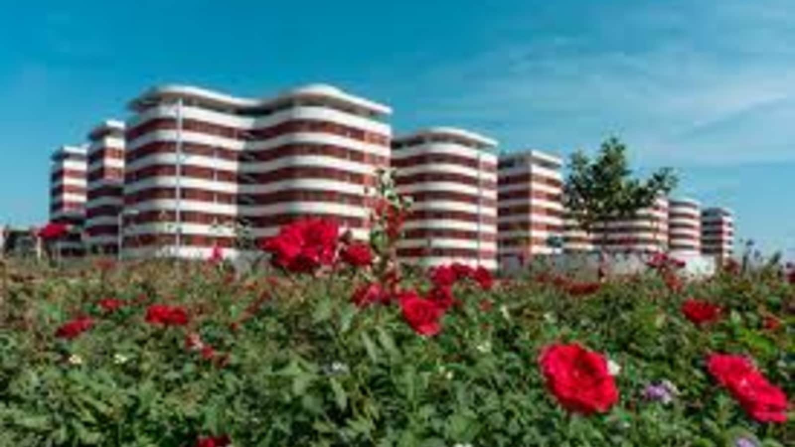 JEE Main 2026: These programmes saw highest choice count in IIT Hyderabad