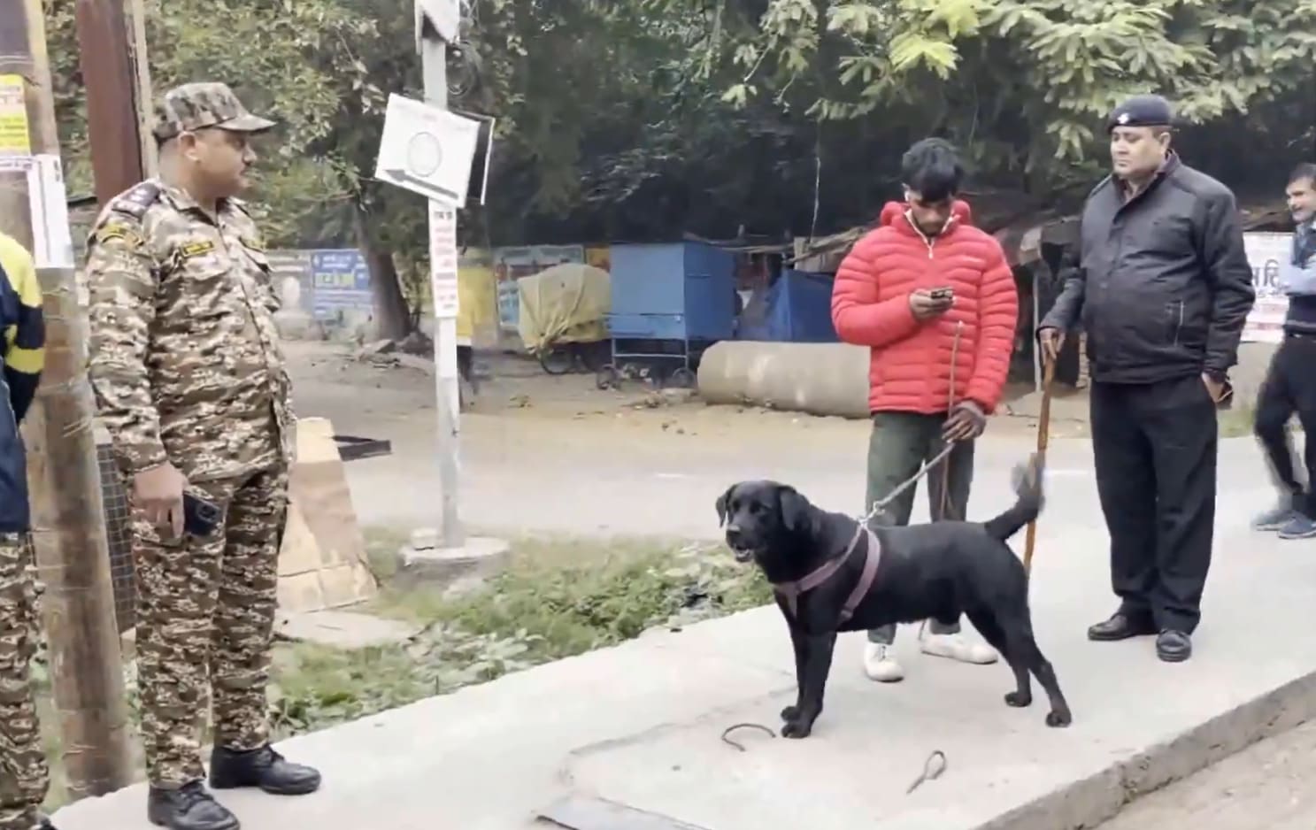 Lucknow Municipal Corporation conducts another early-morning campaign against unlicensed dog ownership