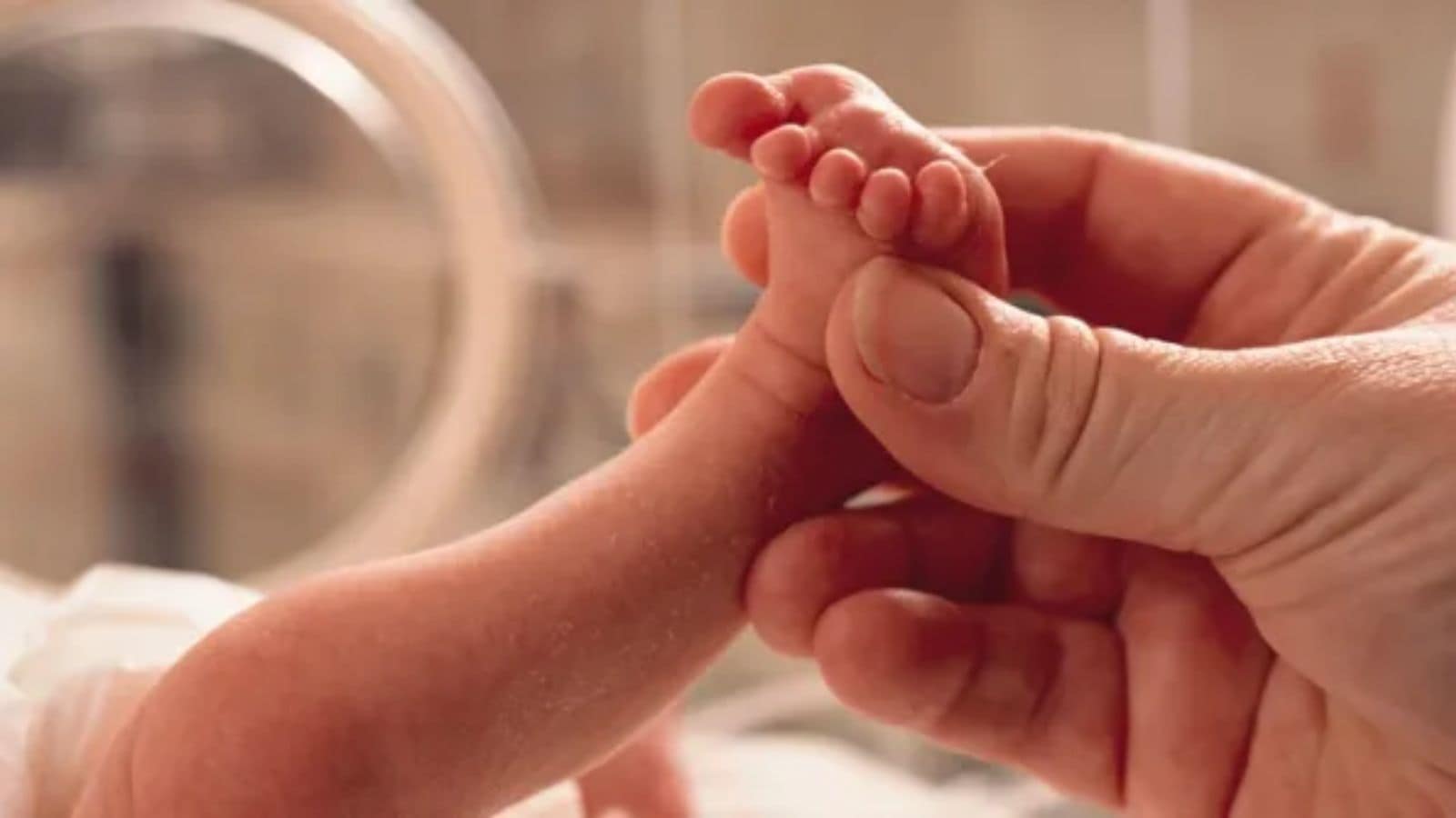 Over 60% countries offer early warning systems, have six times lower mortality rates due to severe weather: Report