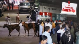 Express Catch-up 5 stories you must read today, November 7