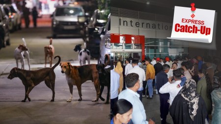 Express Catch-up 5 stories you must read today, November 7