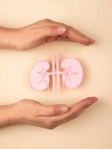 8 ways to prevent chronic kidney disease