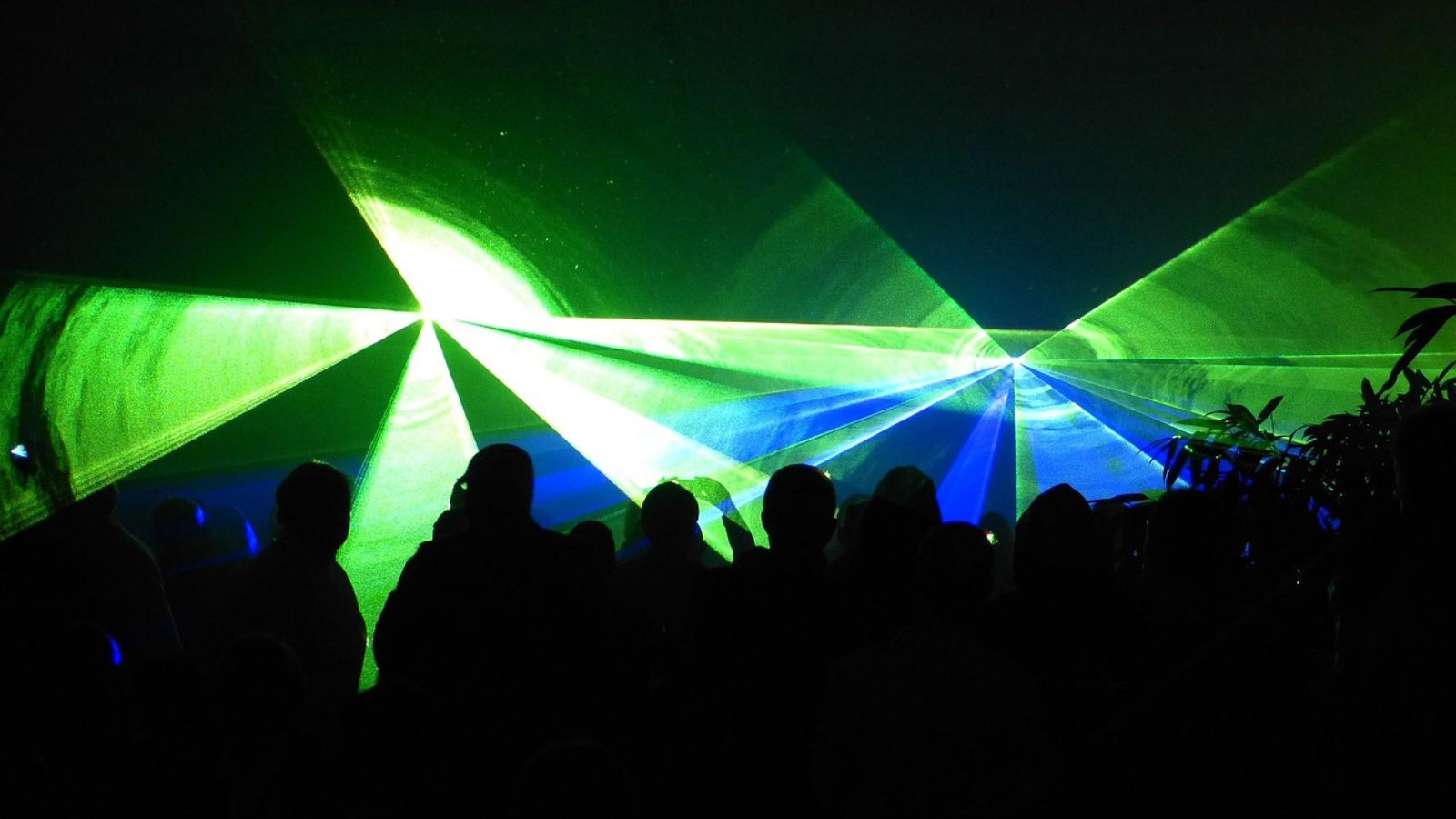 Ganesh Mandal President Jailed for Laser Beam Use