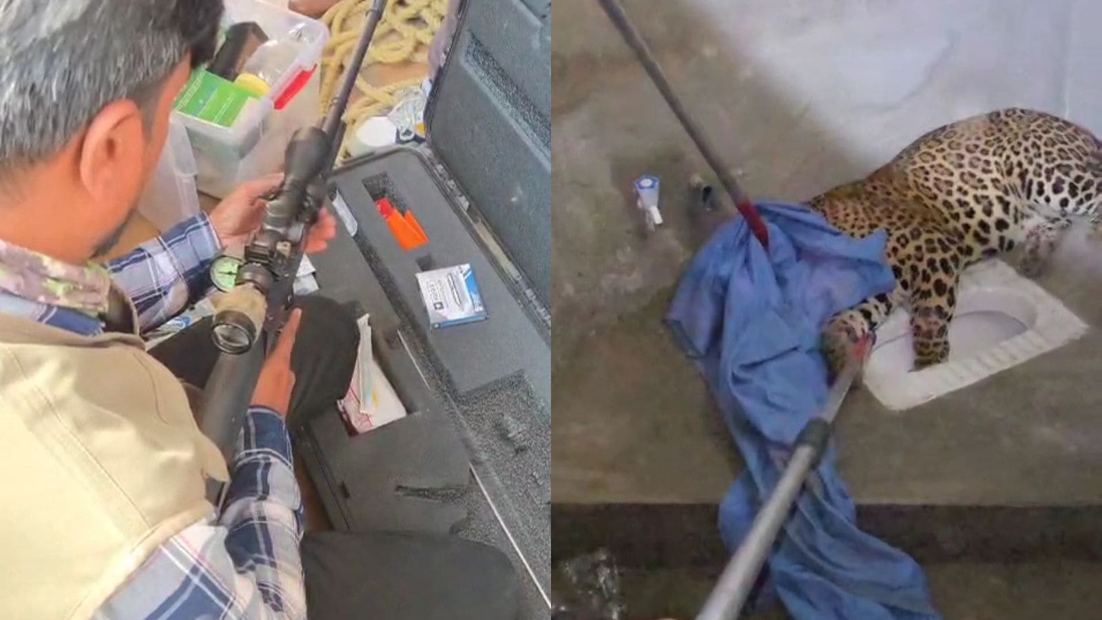 Leopard enters under-construction building in Nagpur, rescued