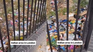 Indians littering in london civic sense debate