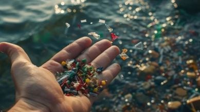 They estimate that an average Kolkata city resident inhales about 2.9 grams of microplastics over a lifetime, roughly equivalent to breathing in a small plastic bottle over time.