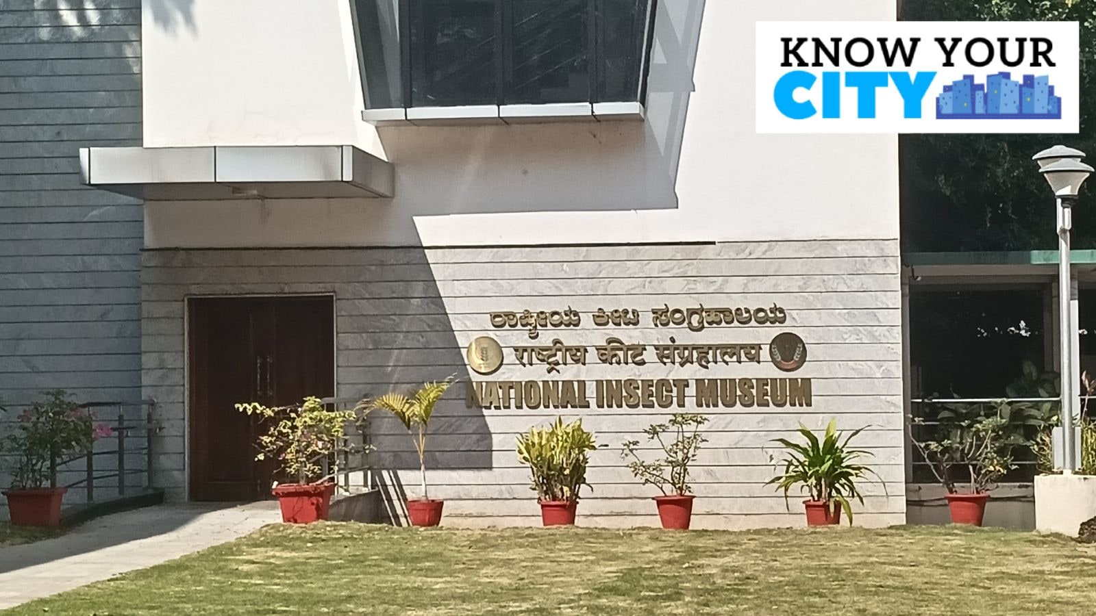 Know Your City: Learn about evolution, diversity, and economic significance of insects at this Bengaluru museum