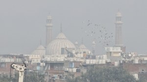 Who’s my neighbour| My neighbours taught me that acceptance is built through small, everyday acts of openness