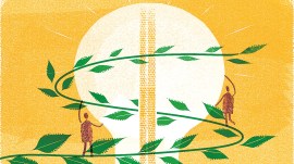 Global South is redefining credible climate action. COP30 must acknowledge this