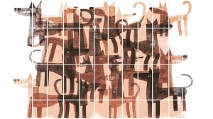 Supreme Court’s order on street dogs is inhumane — and anti-science