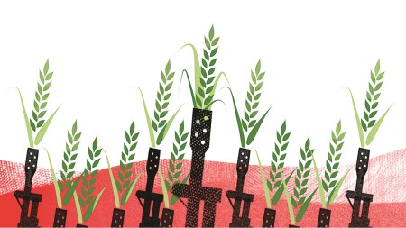 In the Indian context, research published in the ‘Economic and Political Weekly’ finds that even forest cover, a proxy for state inaccessibility, correlates more strongly with Maoist activity than economic backwardness. (Illustration by Illustration: C R Sasikumar)