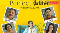 perfect family review Perfect Family