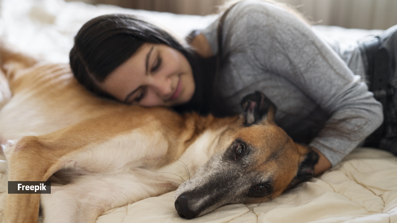 Sleeping with Your Pet: The Psychological Benefits and Hygiene Risks