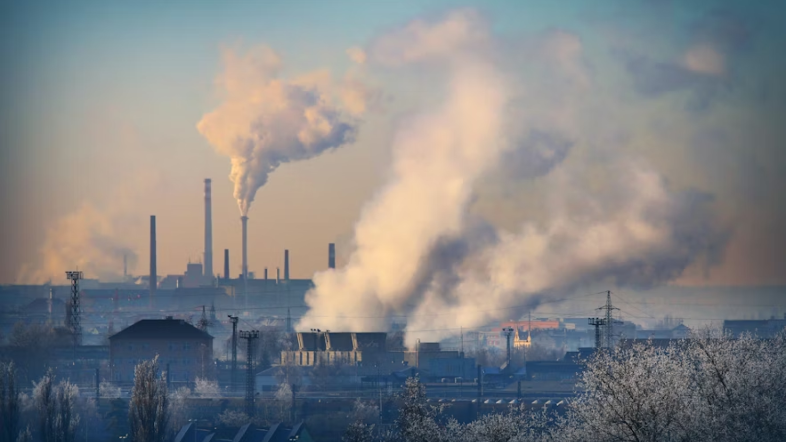 Study Links Pesticides to Gut Bacteria Harm