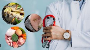 protein options for muscle