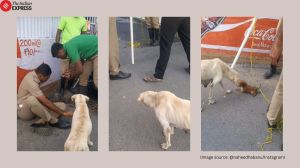 Tamil Nadu cop rescues puppy as mother dog watches