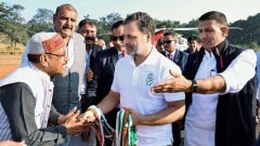 Watch: Rahul Gandhi embarks on a jungle safari in MP’s Panchmarhi