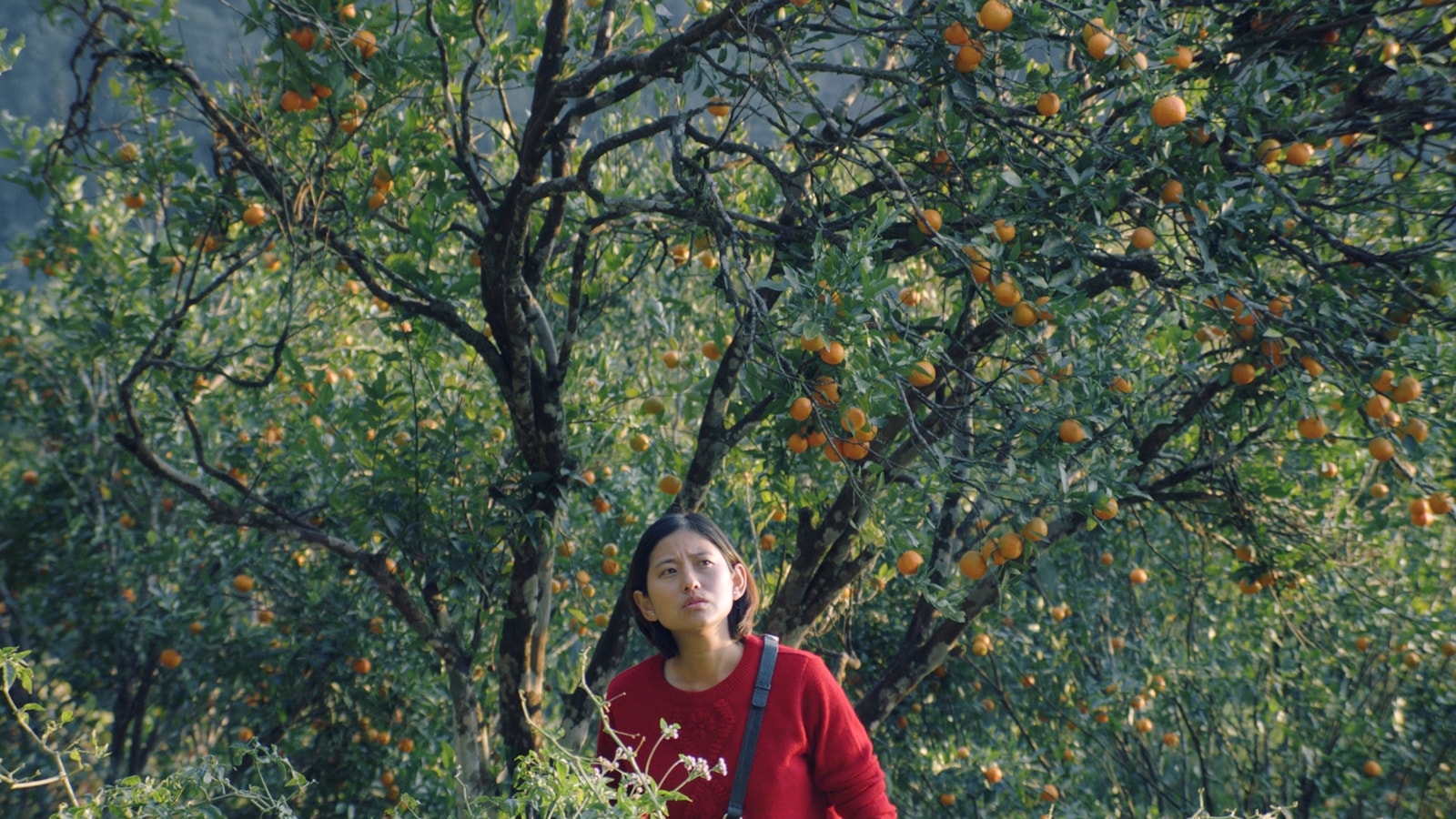 Tribeny Rai’s Shape of Momo competes for top IFFI awards