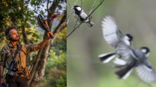 Siddharth Biniwale, a Pune-based naturalist and researcher, says when people go out on birding, they are mostly looking for interesting photographs.
