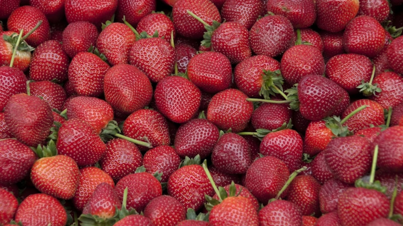 Must-have winter fruits