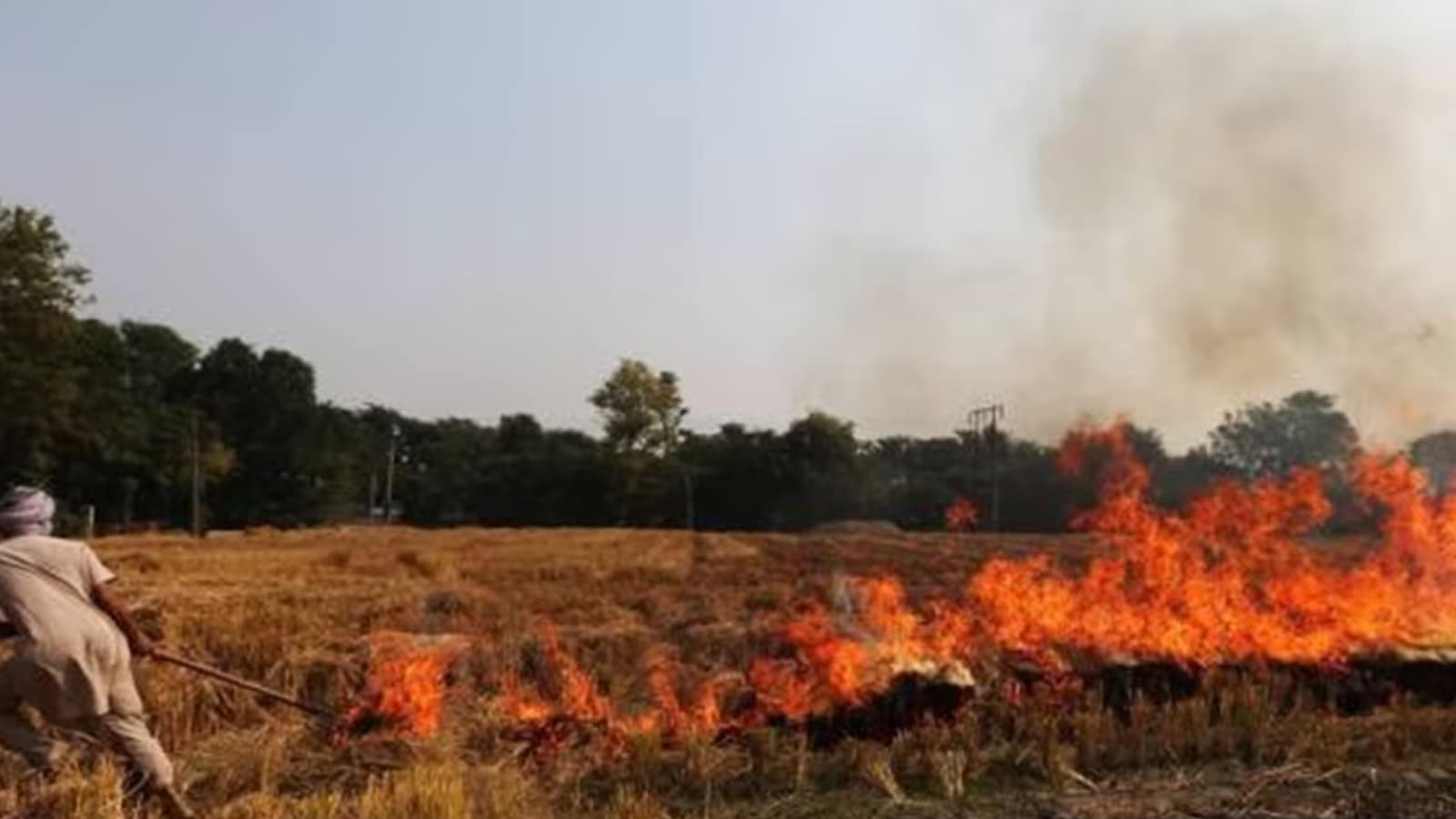 155 fresh farms fires in Punjab: SC directs Punjab to file report on steps taken to curb stubble burning