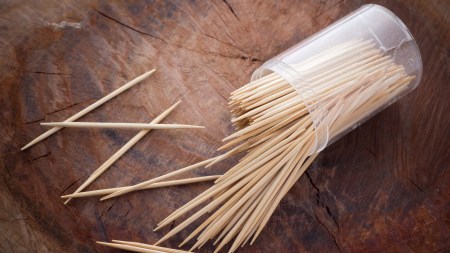 toothpick