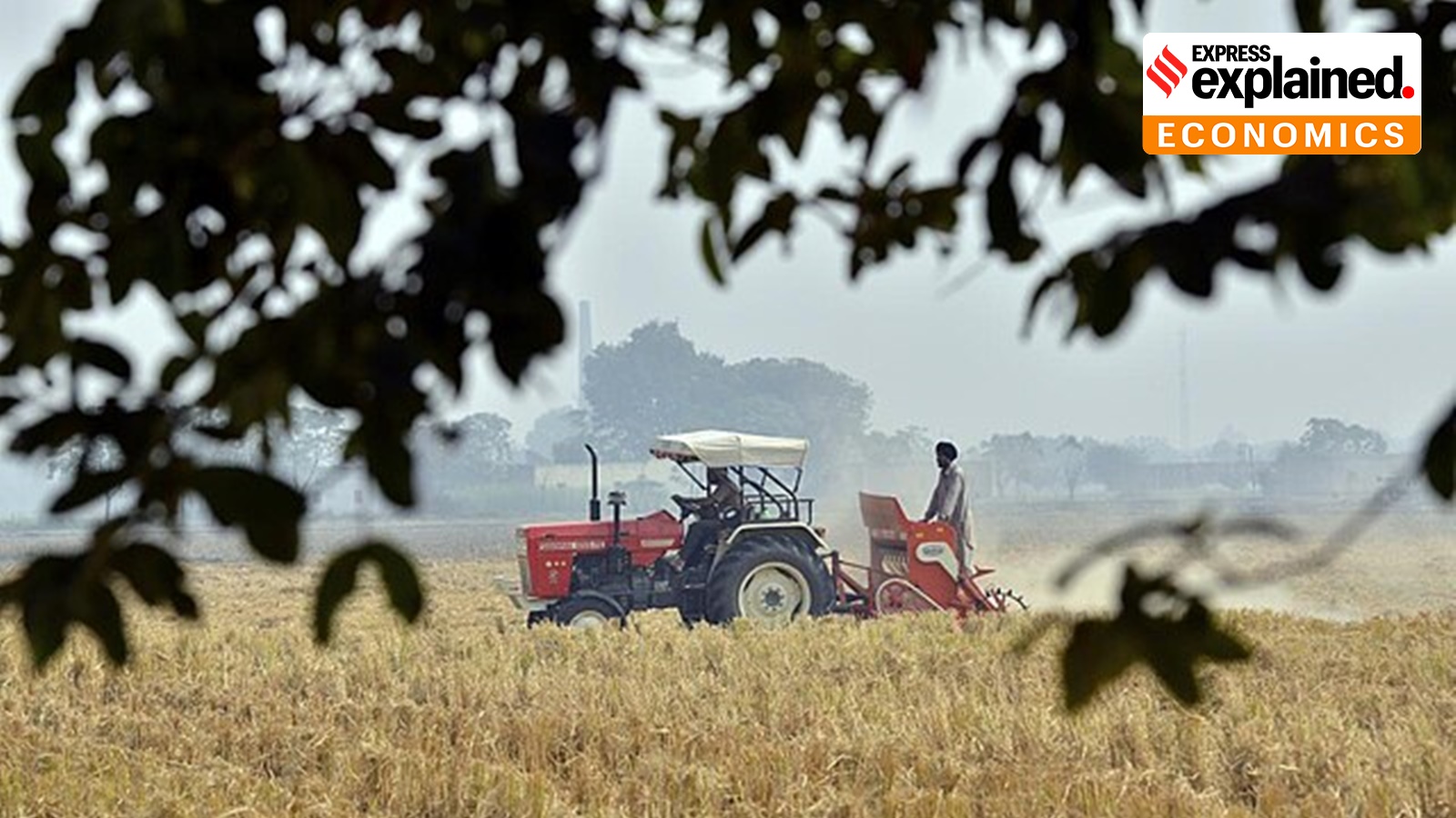 Indian farm exports outperform – despite Trump tariffs